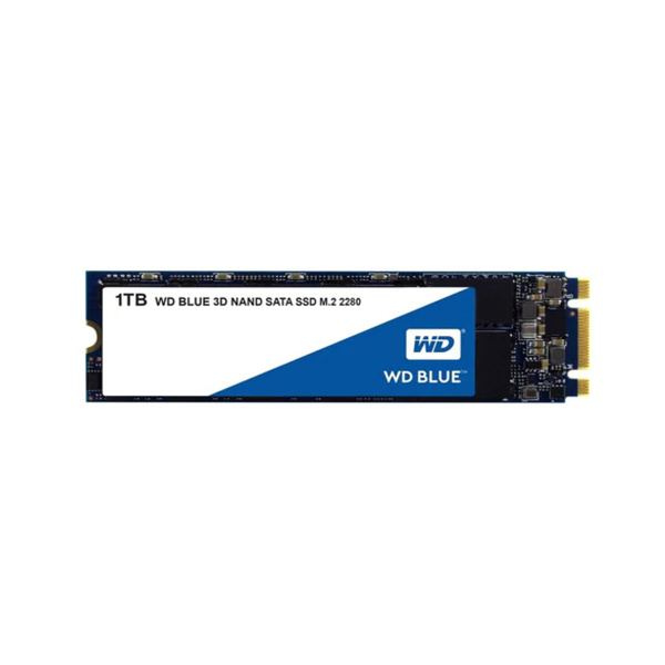 WDS100T2B0B_1.jpg