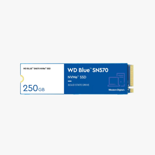 WDS100T3B0C_1.jpg