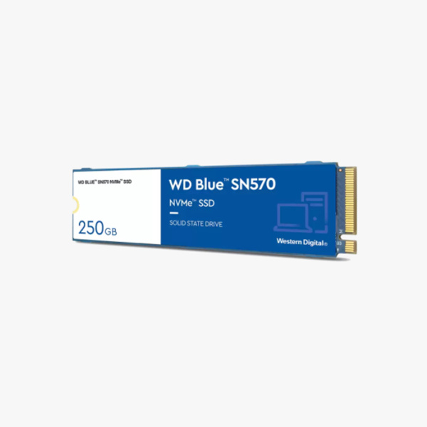 WDS100T3B0C_2.jpg
