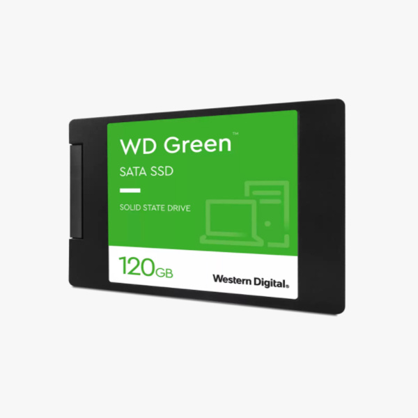 WDS100T3G0A_2.jpg